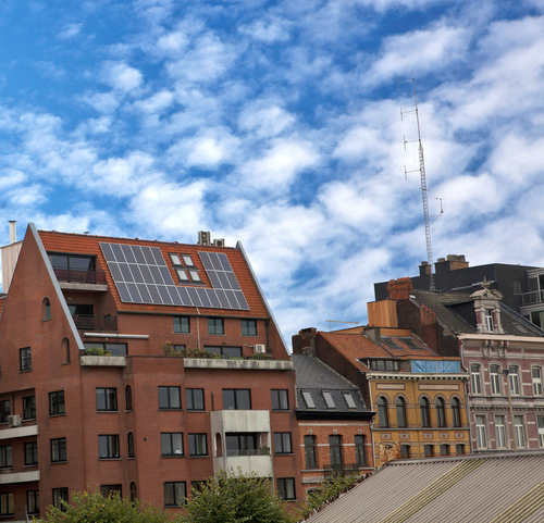 How to Make a Regular Green Roof